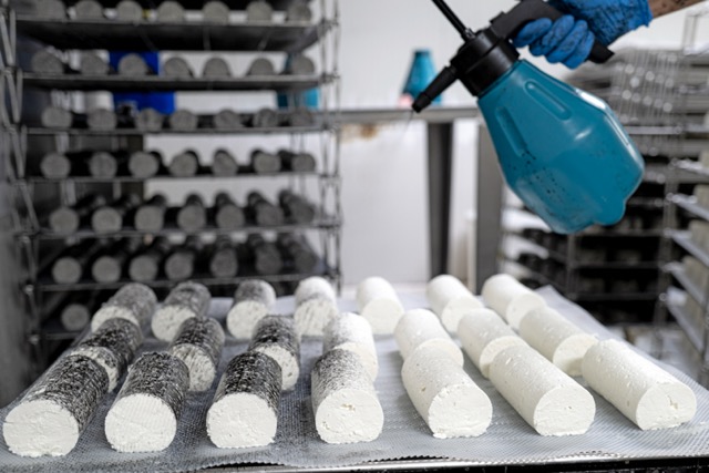 Production de la fromagerie Bach